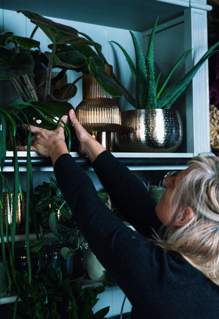 Slide 02_New_Last loop (52 of 76)